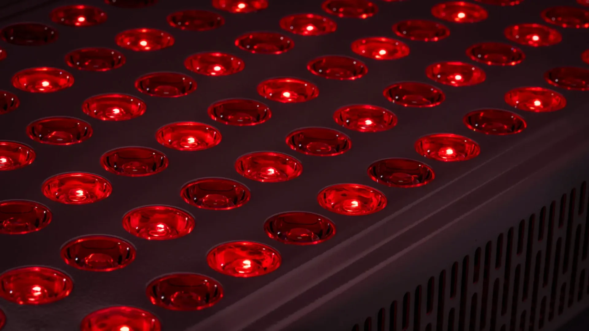 Close-up of a red LED light panel.